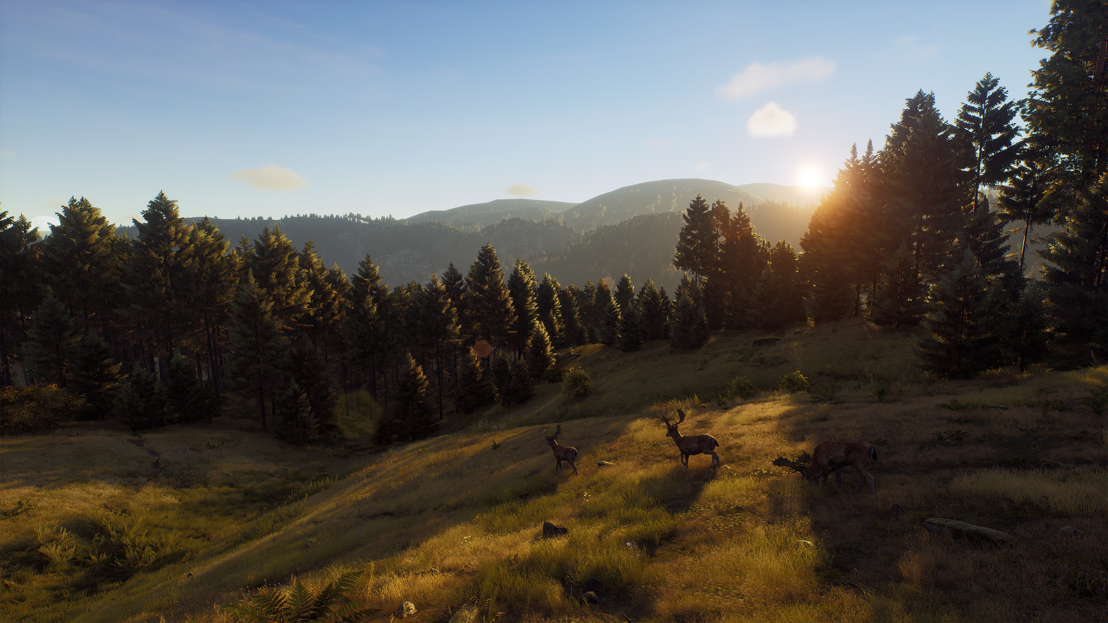 Way of the Hunter screenshot 22
