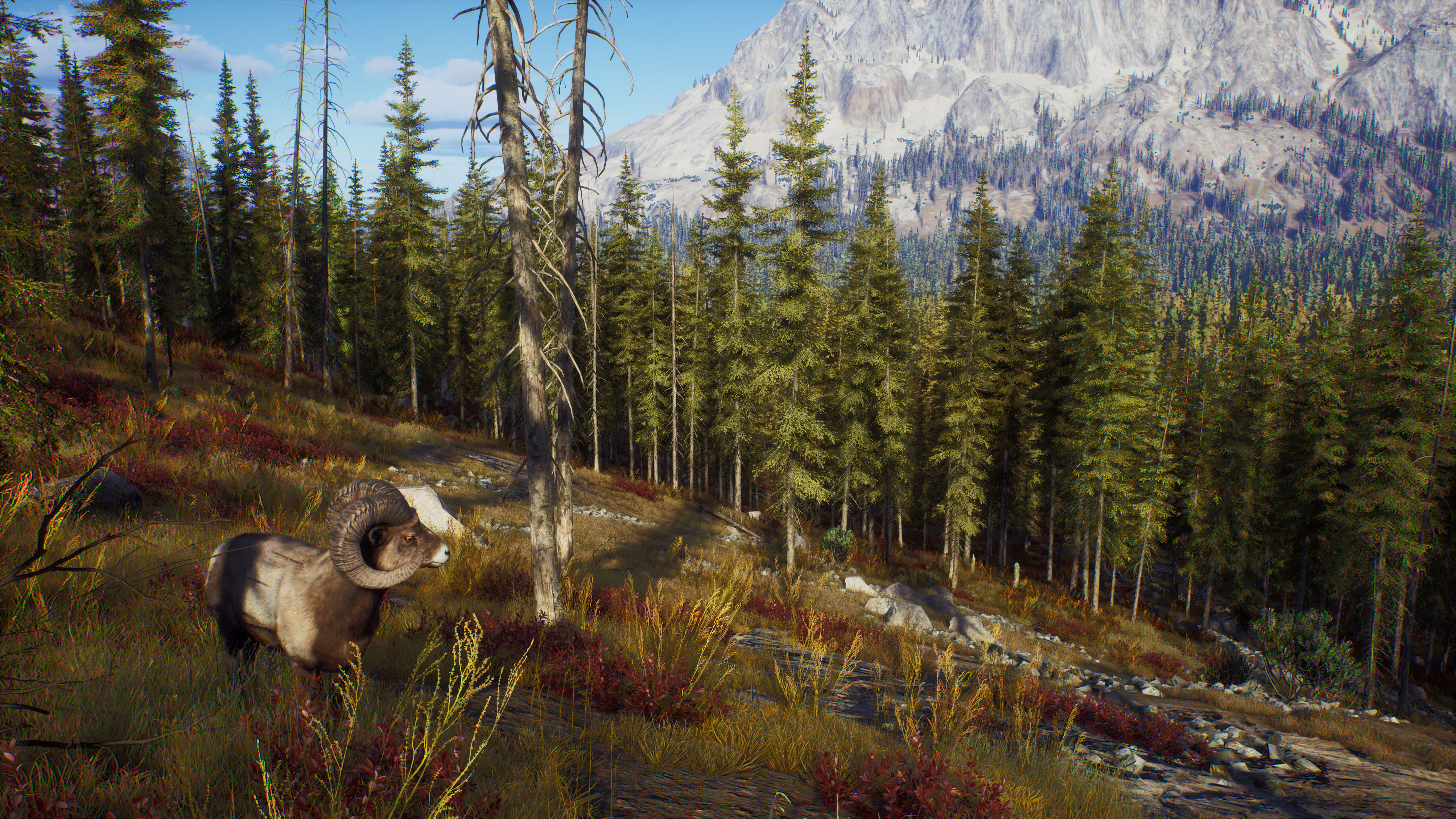 Way of the Hunter screenshot 6