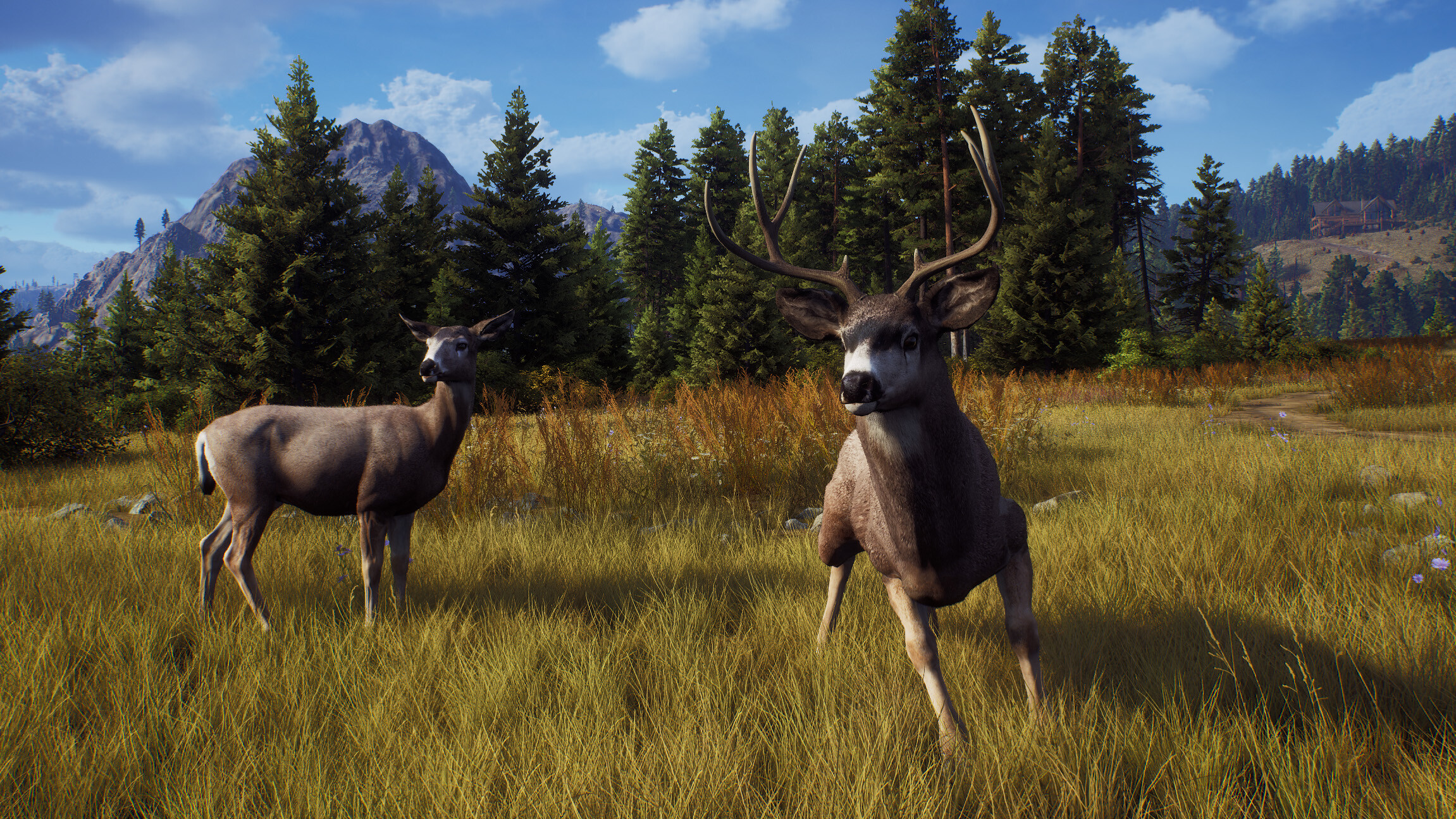 Way of the Hunter screenshot 9