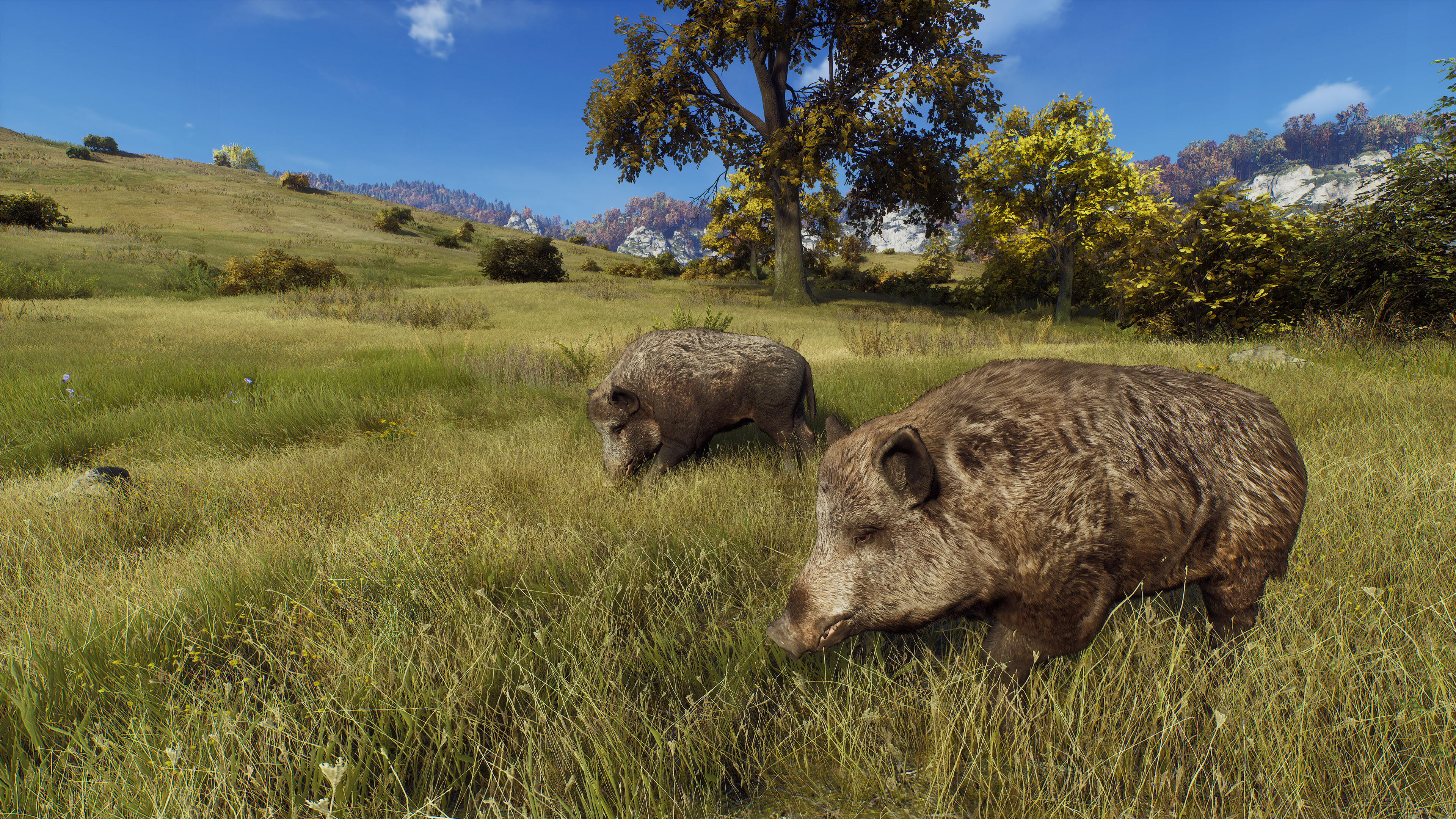 Way of the Hunter screenshot 20