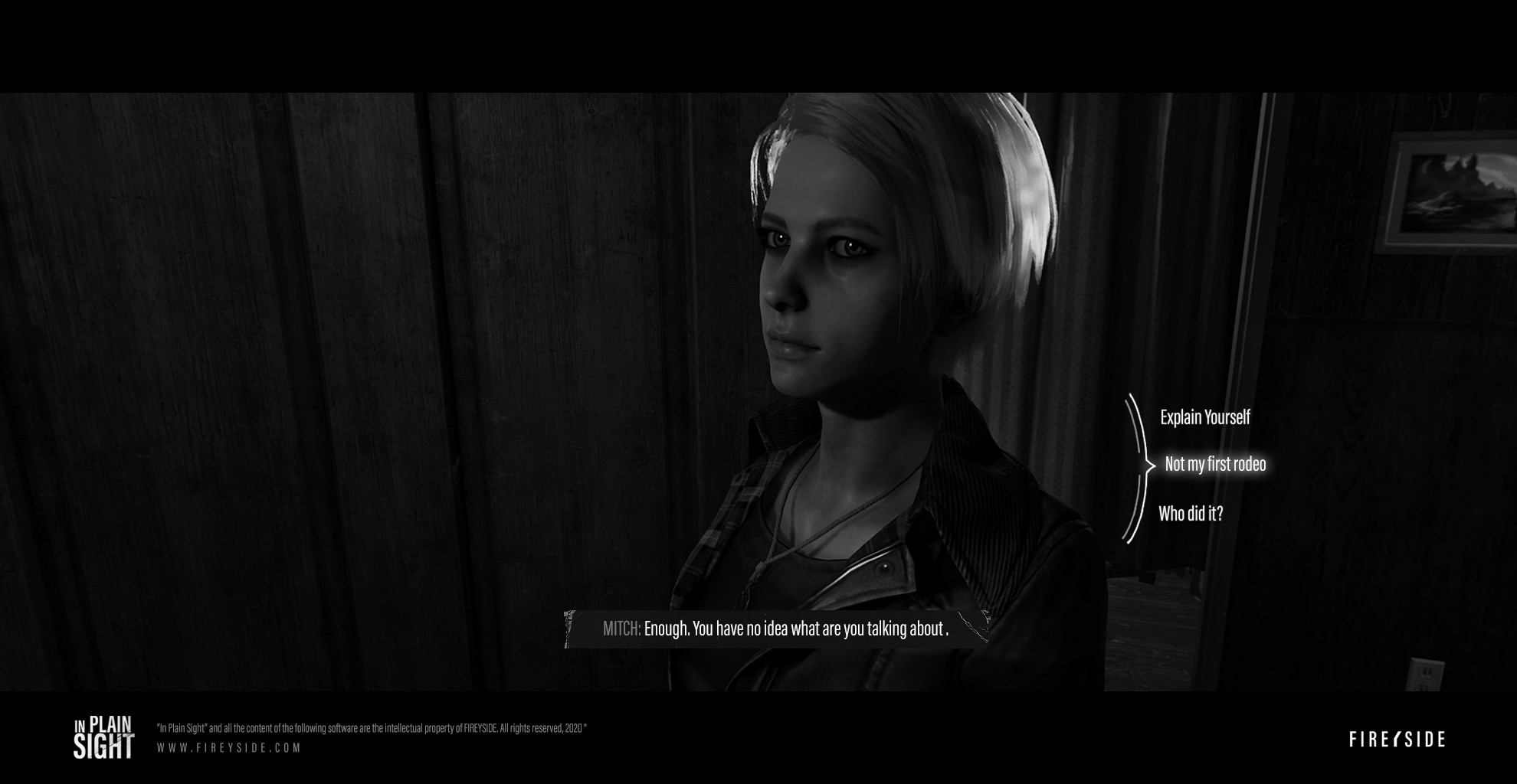 In Plain Sight screenshot 7