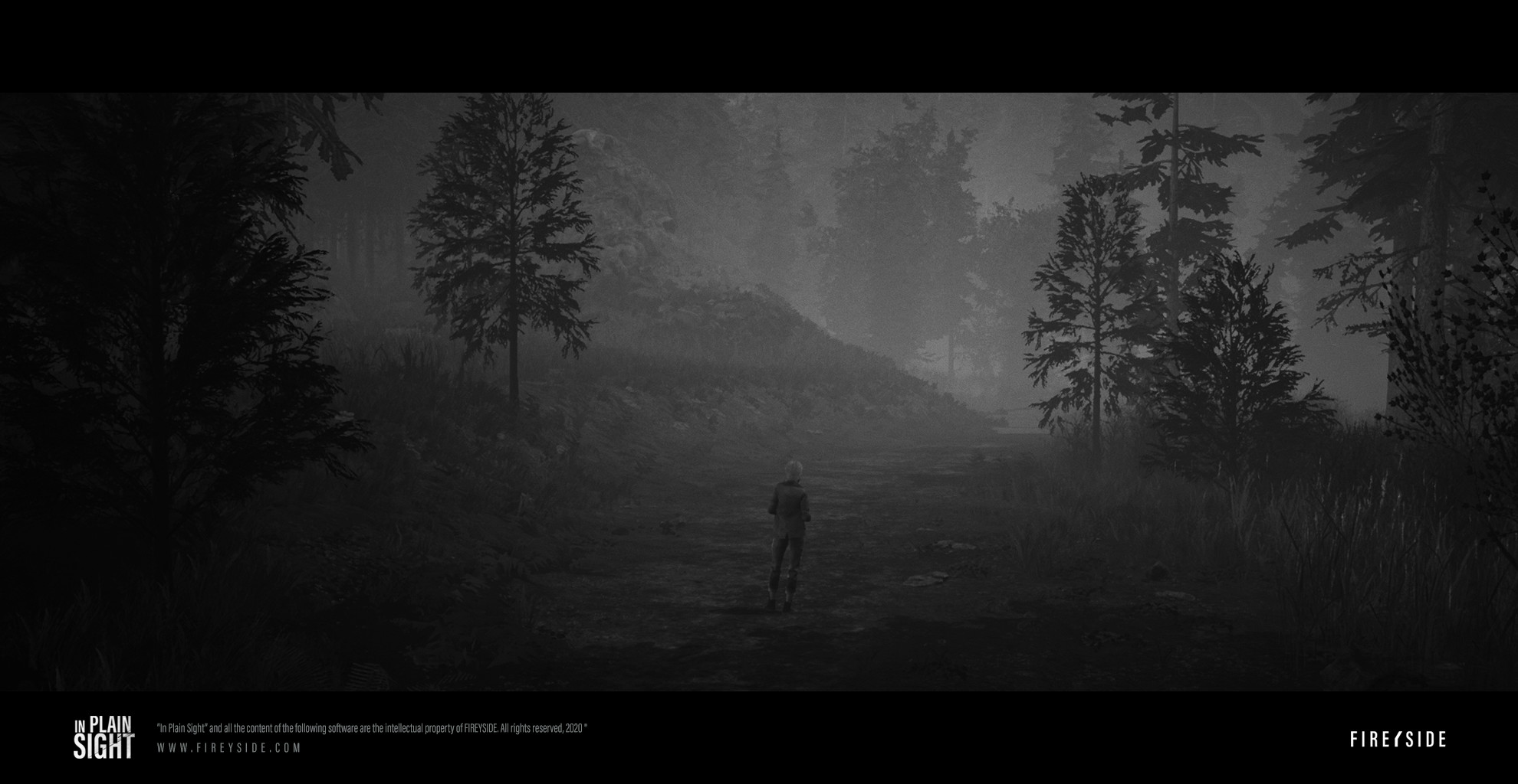 In Plain Sight screenshot 13