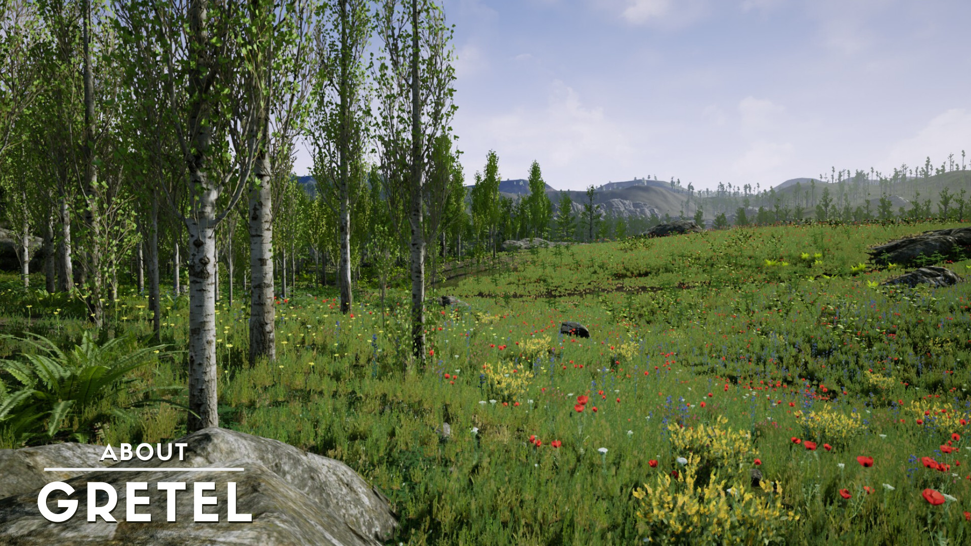 About Gretel screenshot 7