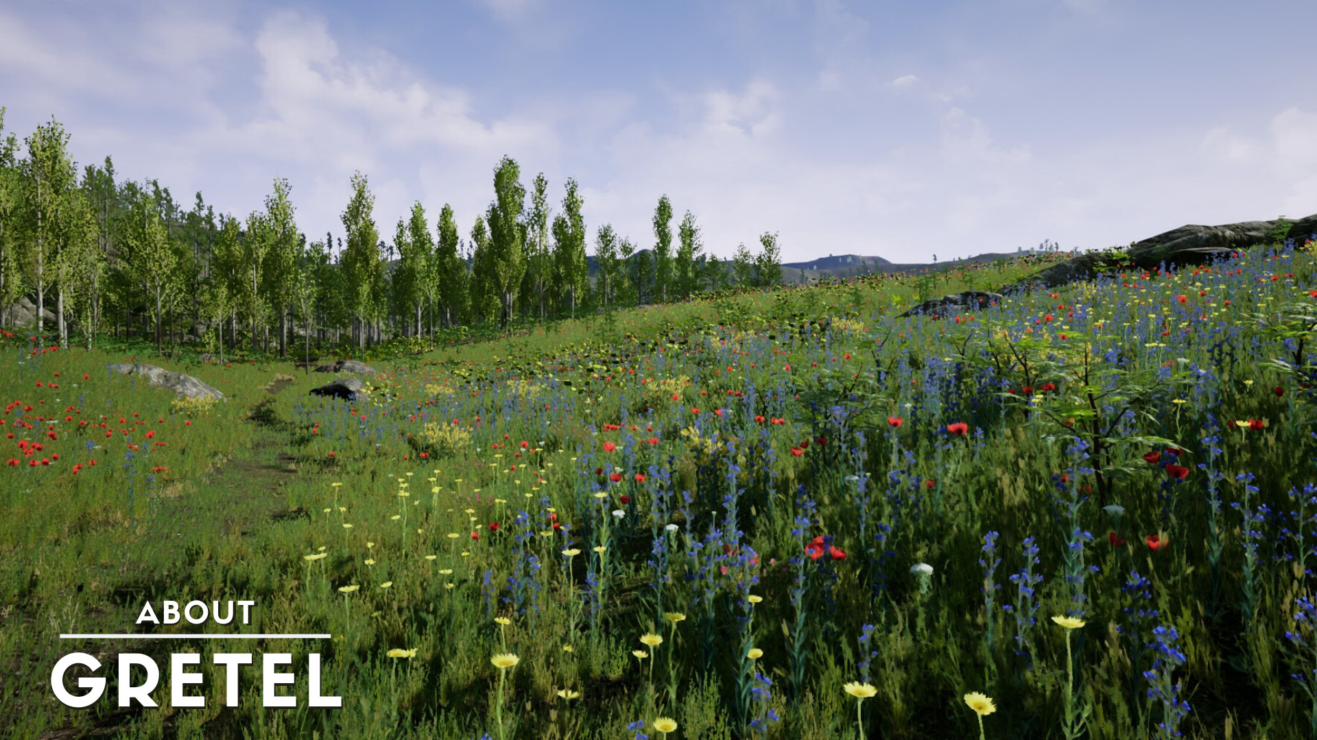 About Gretel screenshot 8