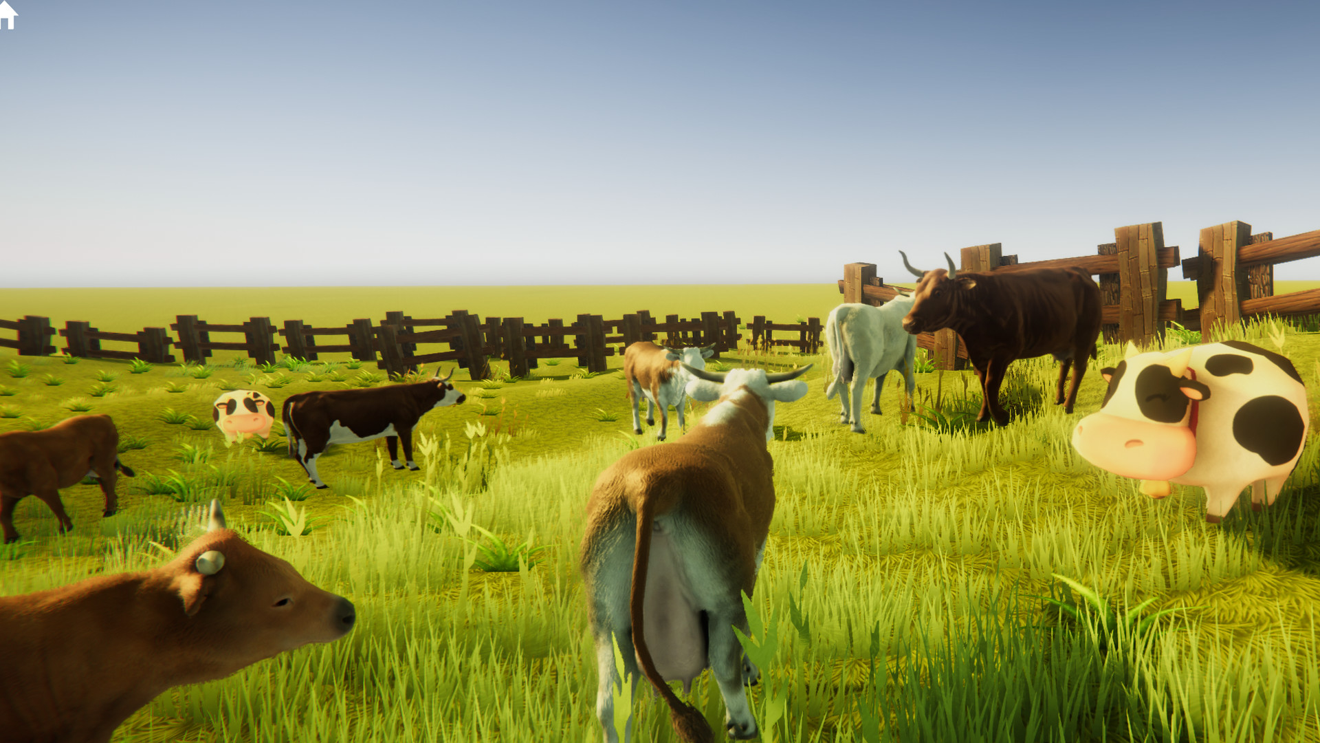 Pictura screenshot 7