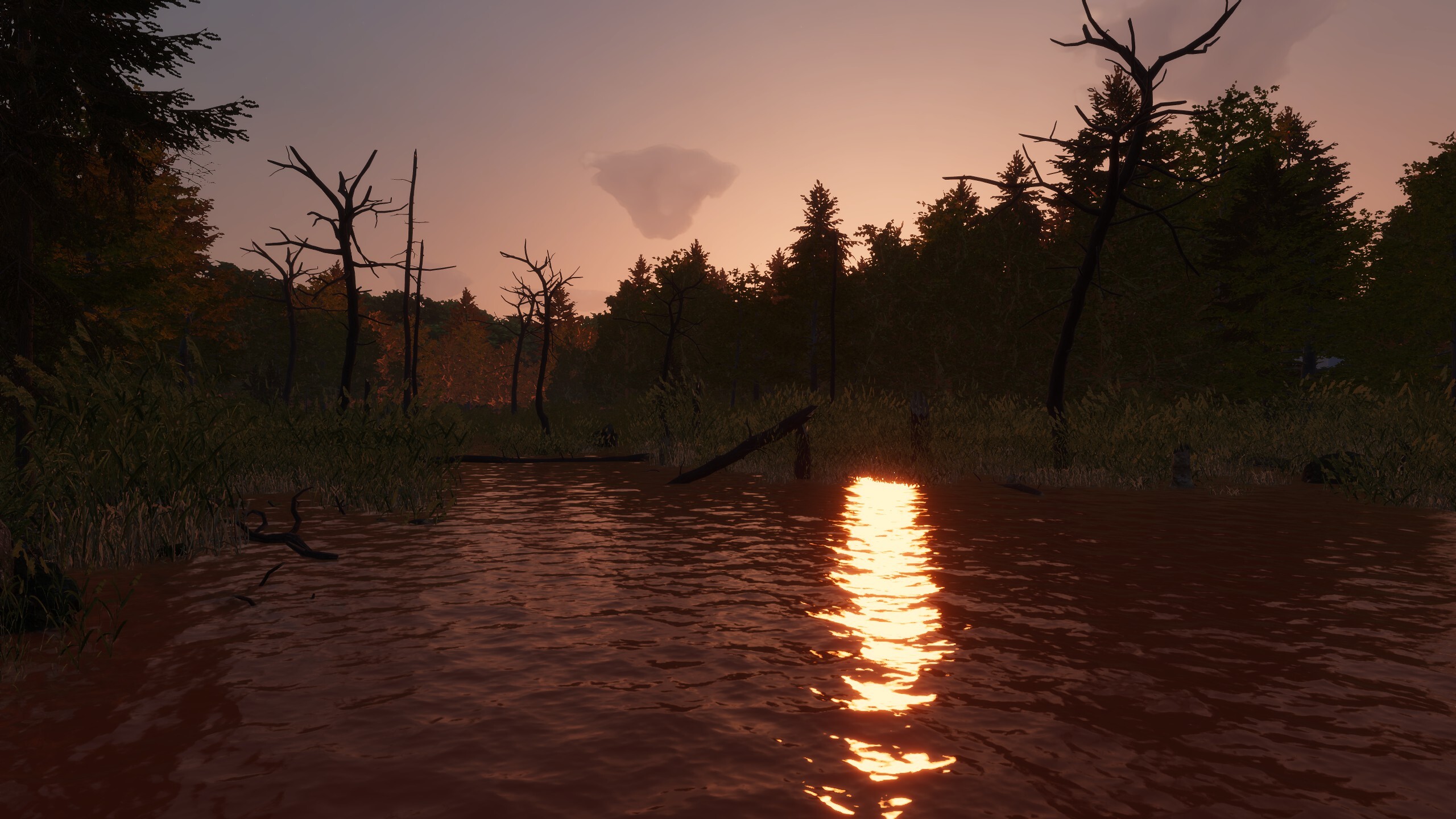 MLF: Pro Catch screenshot 9