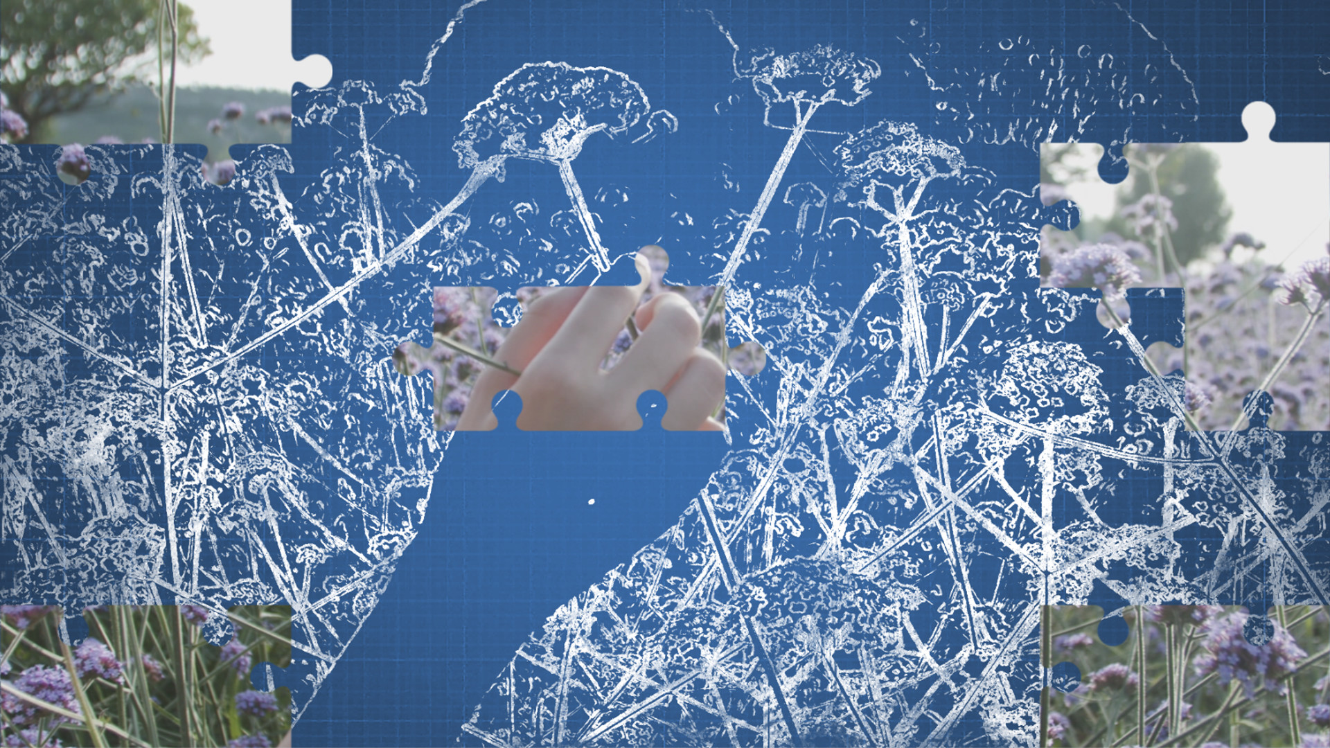 动绘（Drawing） screenshot 1