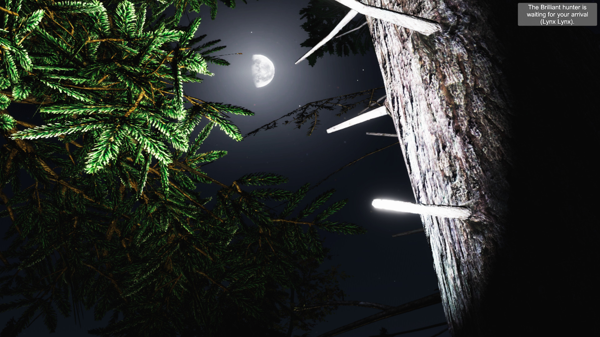 Zoo World VR screenshot 12
