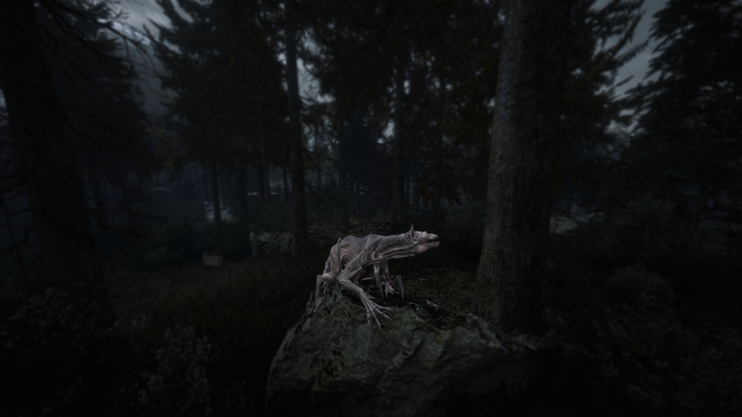 Beautiful Light screenshot 6