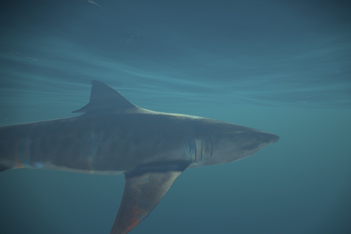 Memory Illusions screenshot 3