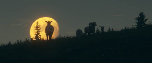 TheHunter: Call of the Wild - Silver Ridge Peaks thumbnail