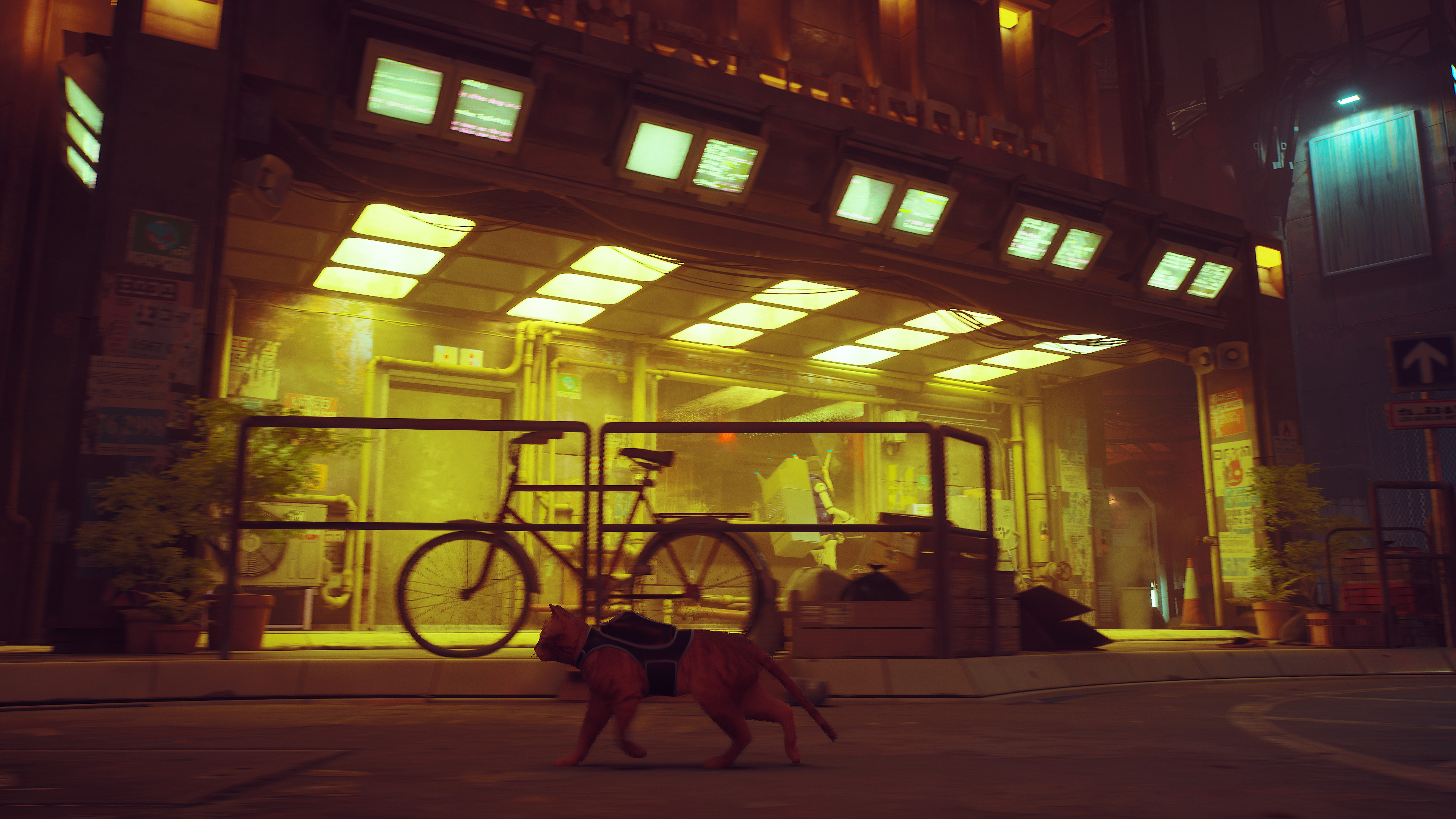 Stray in-game screenshot