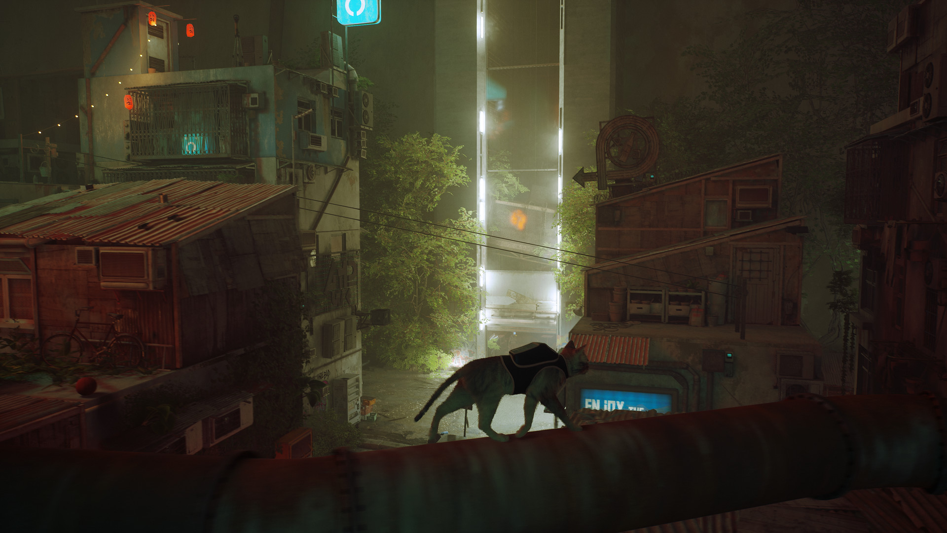 Stray — изображение 2