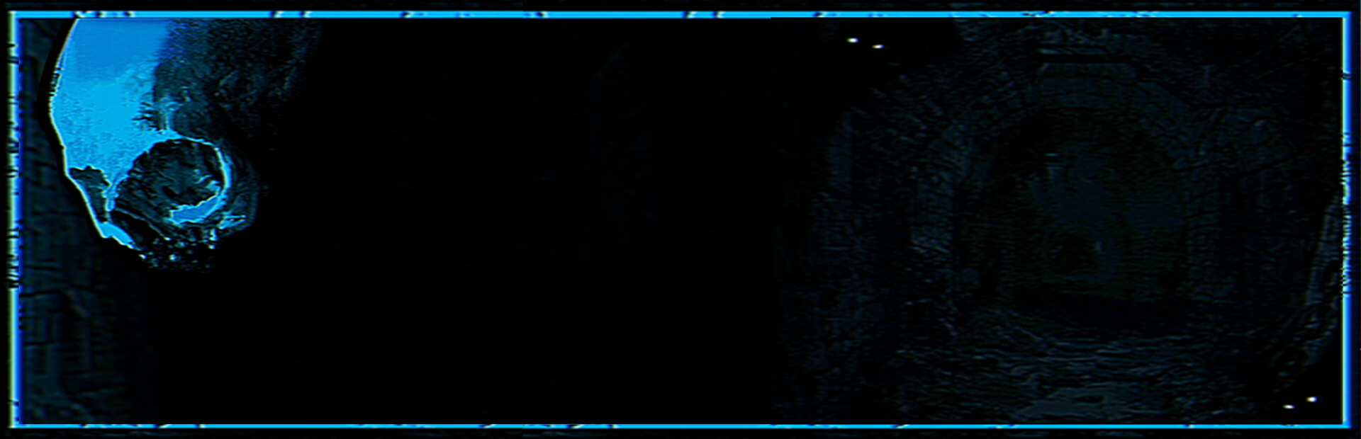 Capsule