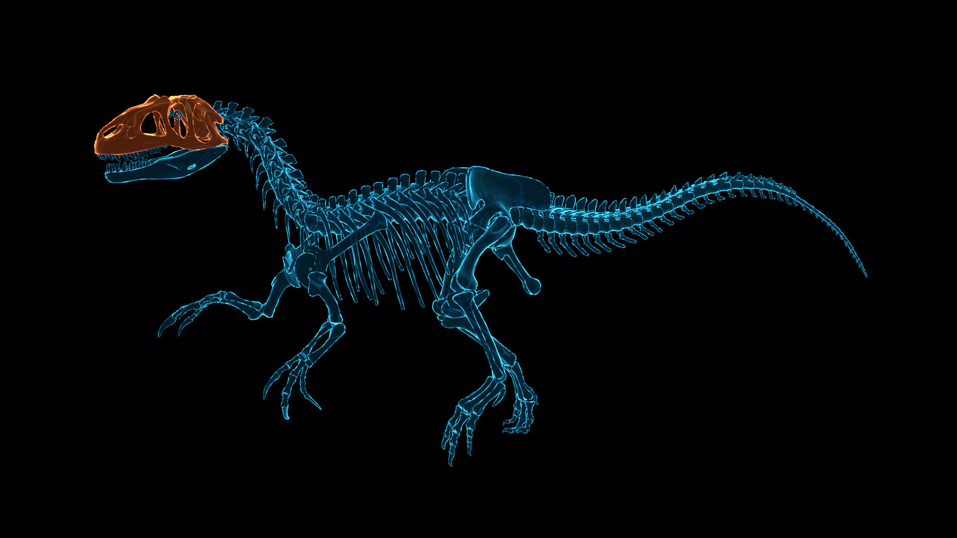 Dinosaur Fossil Hunter: Prologue screenshot 9