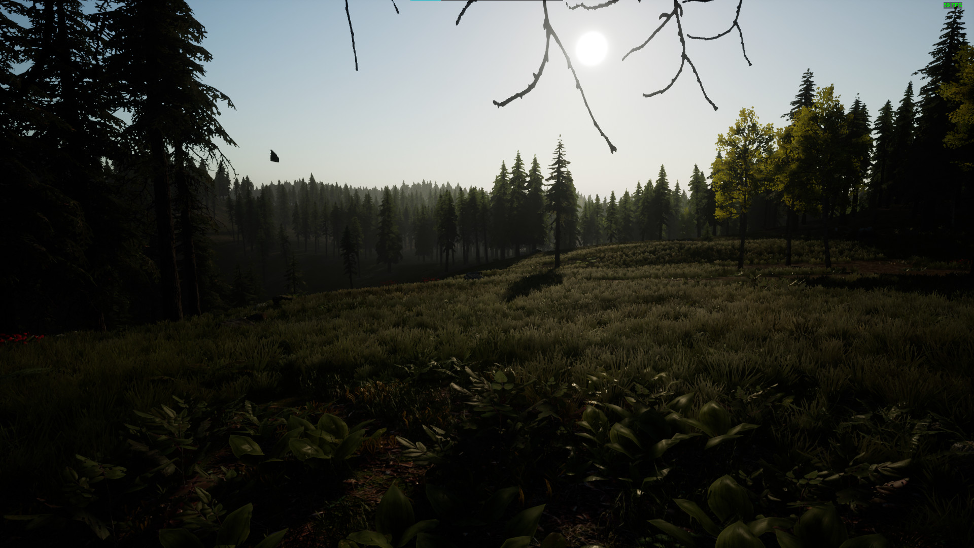 Afterinfection screenshot 15