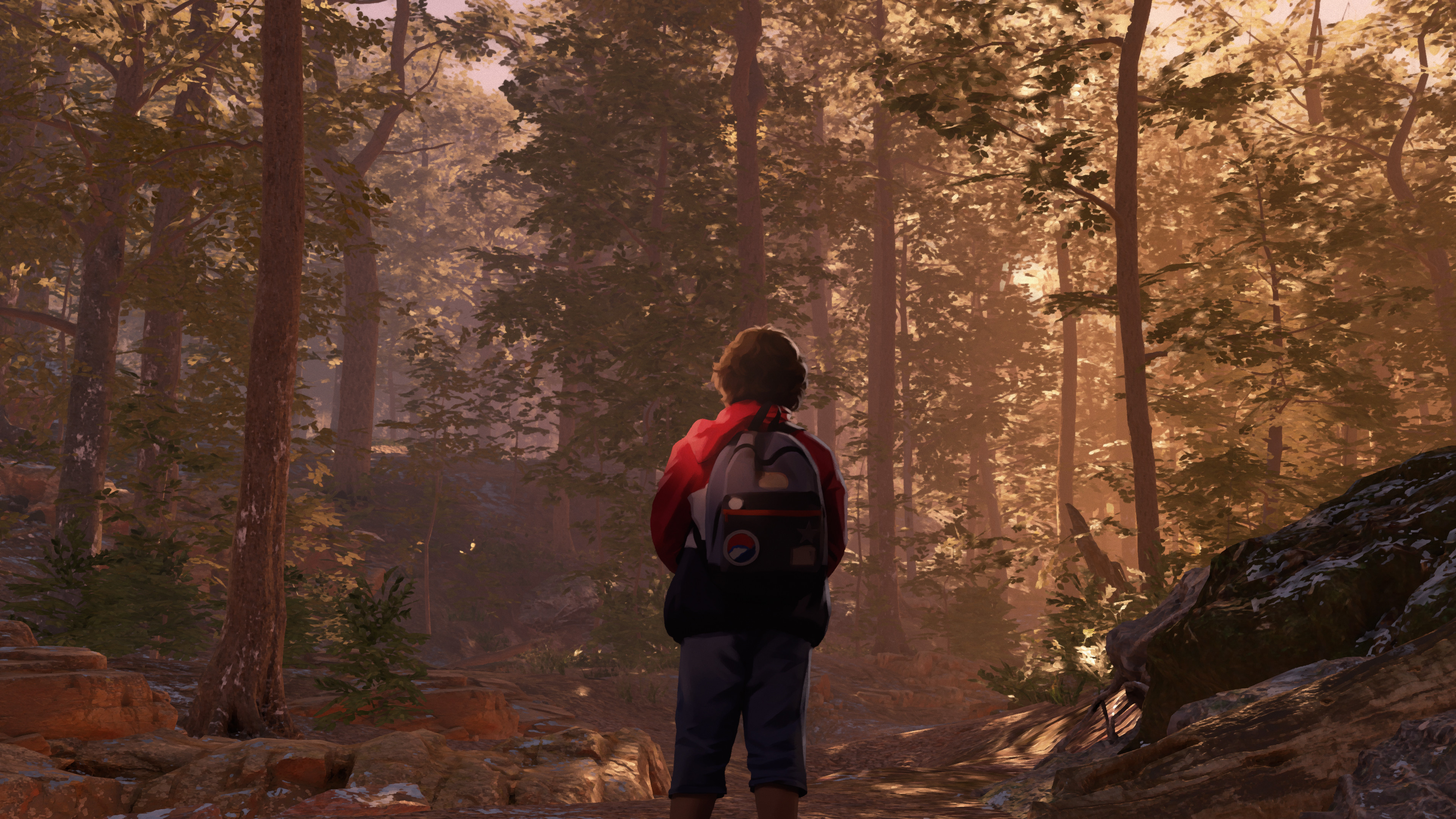 As Dusk Falls screenshot 12