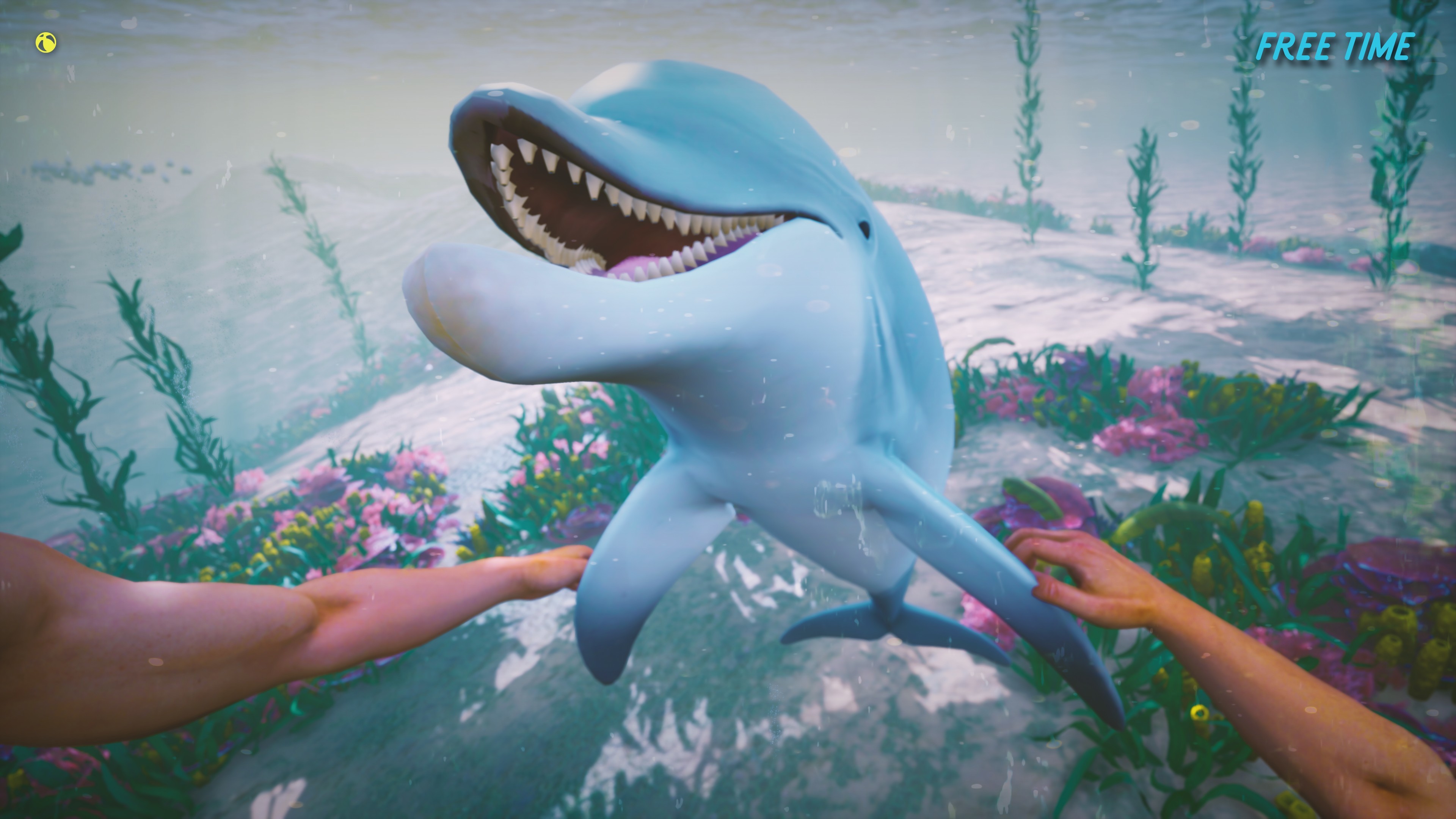Dolphin Trainer VR screenshot 5
