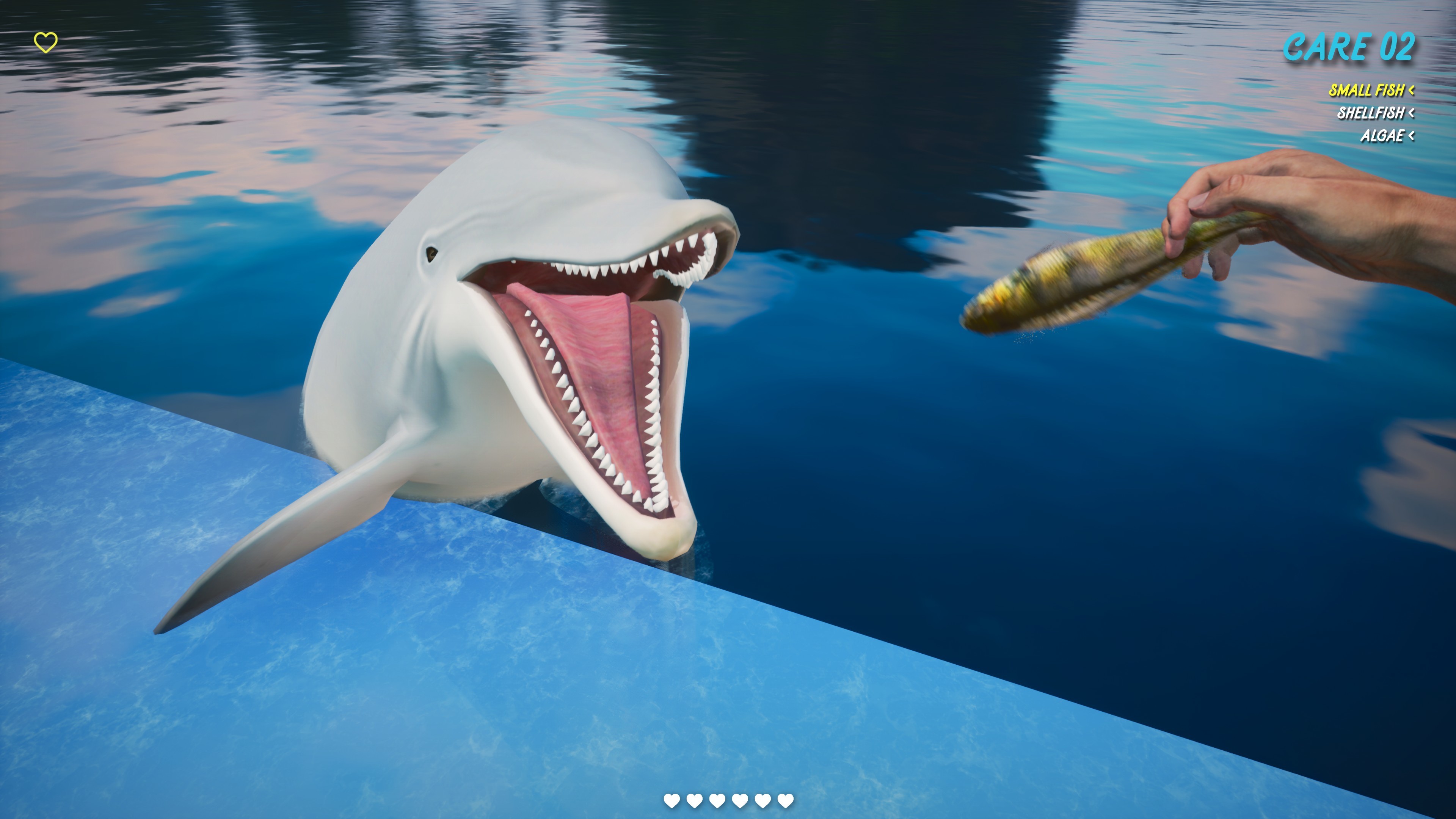 Dolphin Trainer VR screenshot 3