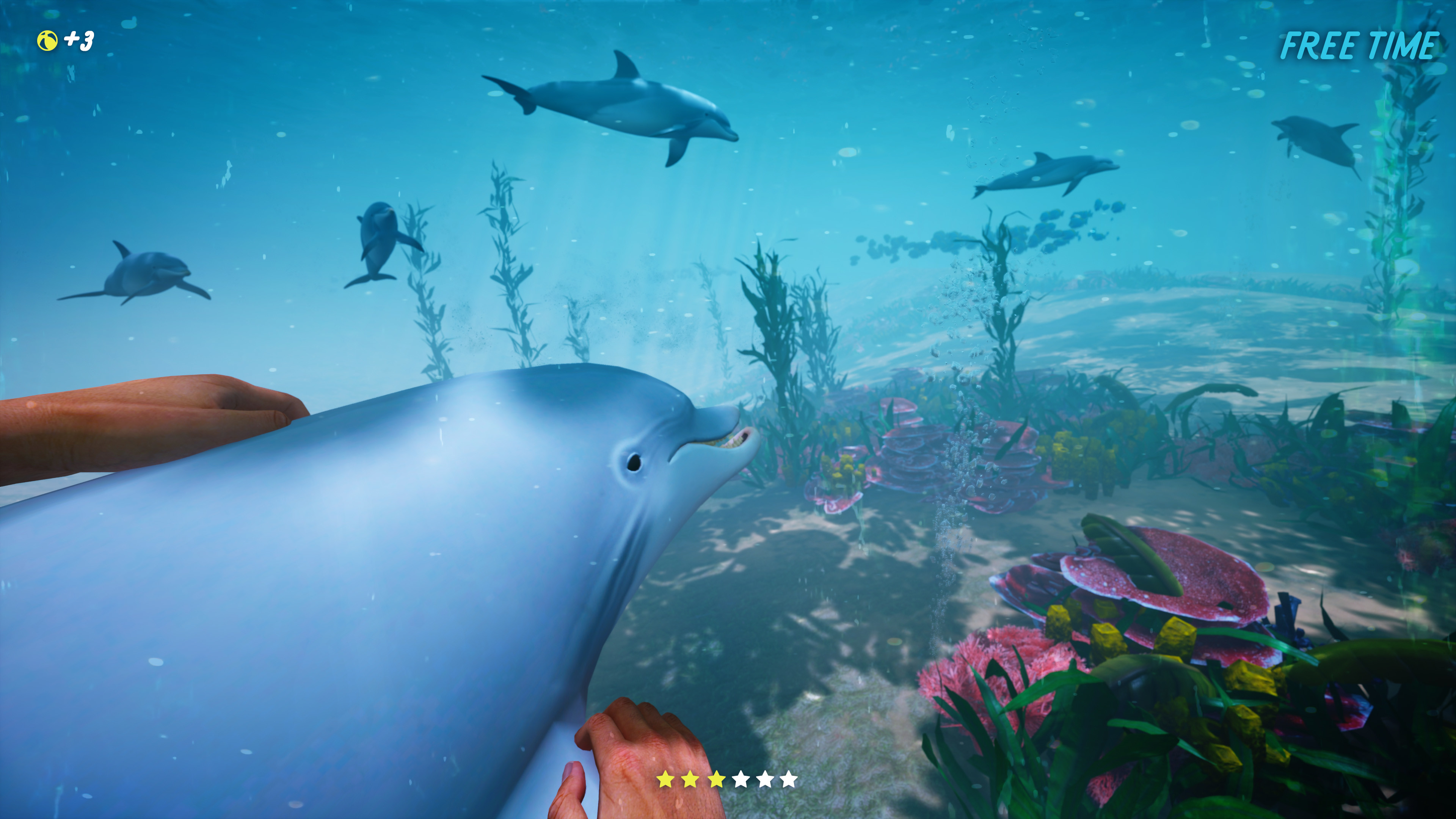 Dolphin Trainer VR screenshot 1