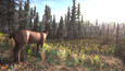 Screenshot #6