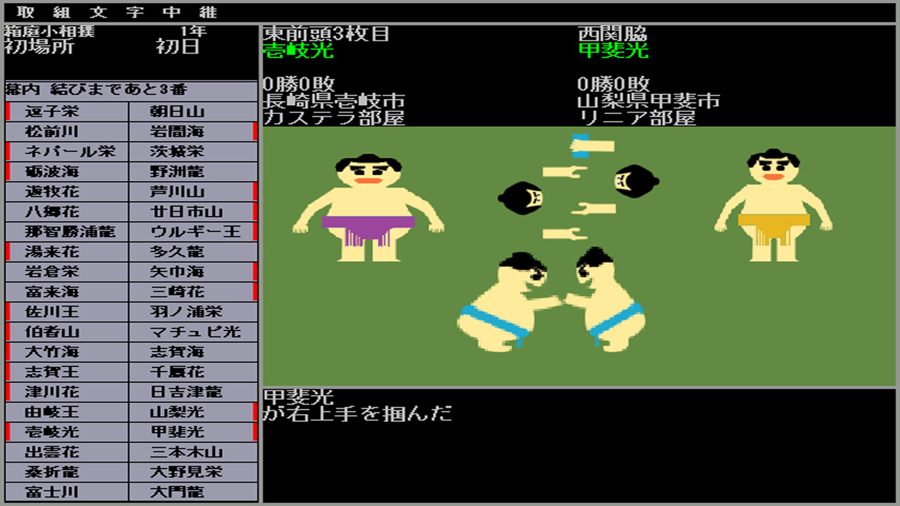 Hakoniwa Sumo screenshot 5