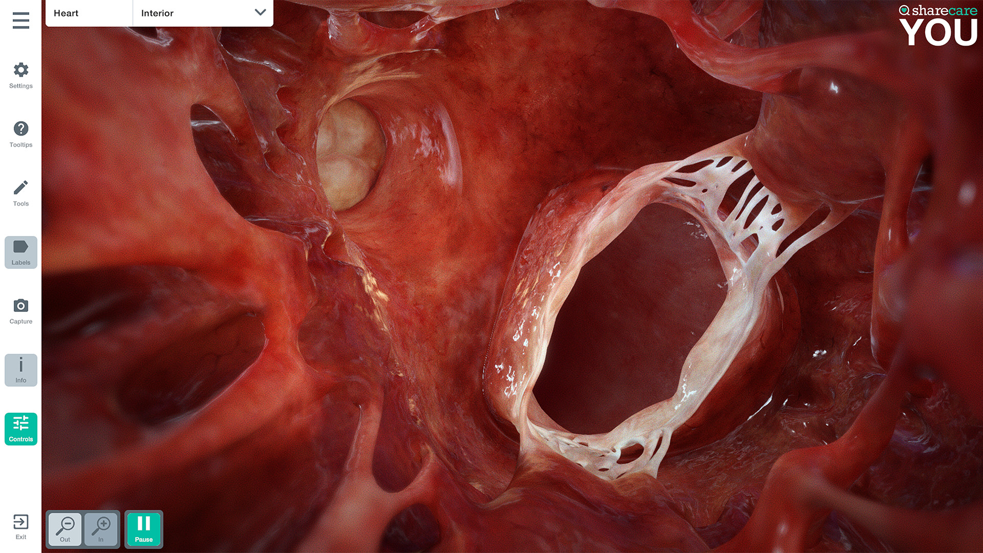 Sharecare YOU Pro screenshot 10