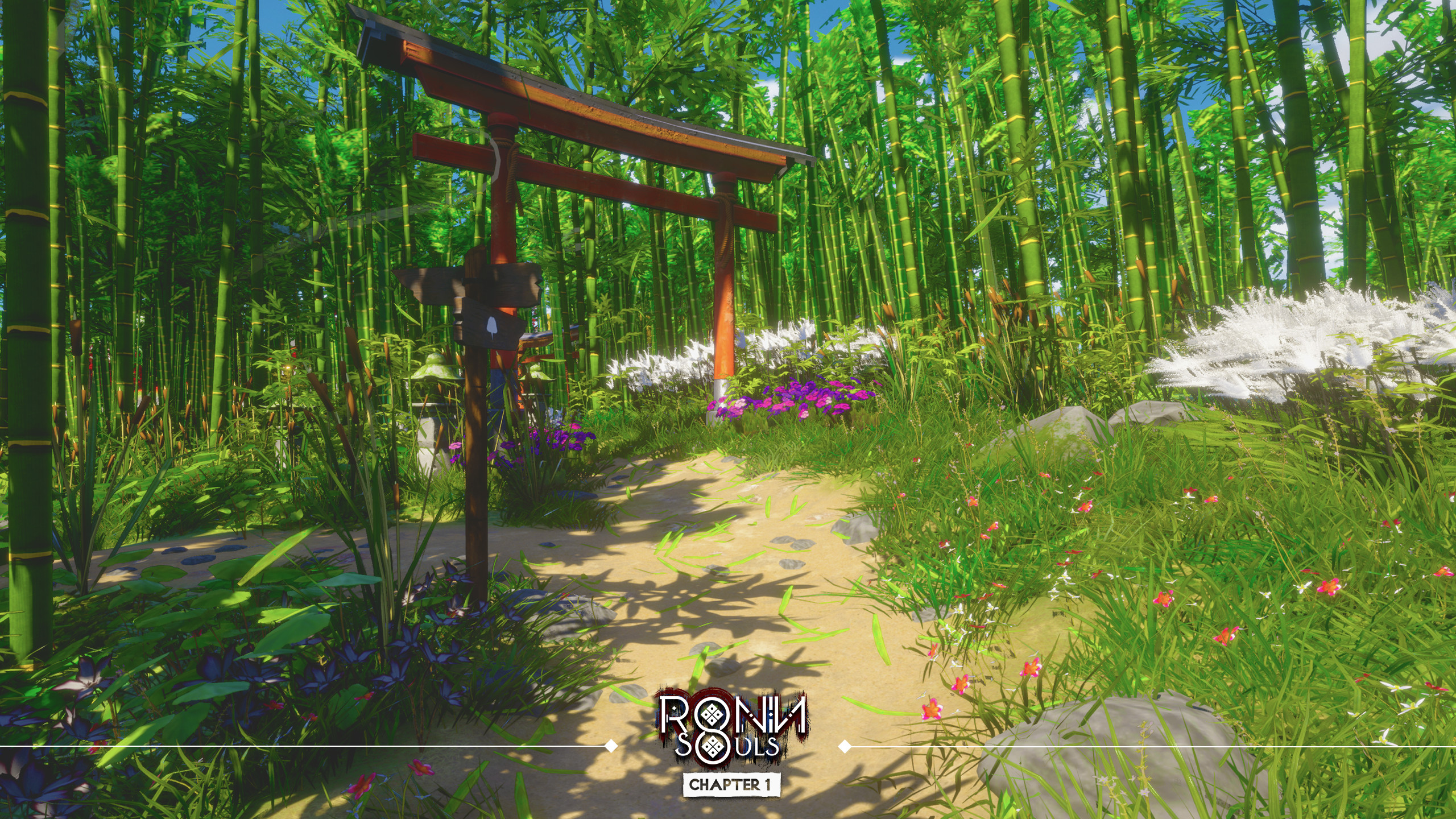 RONIN: Two Souls CHAPTER 1 screenshot 8