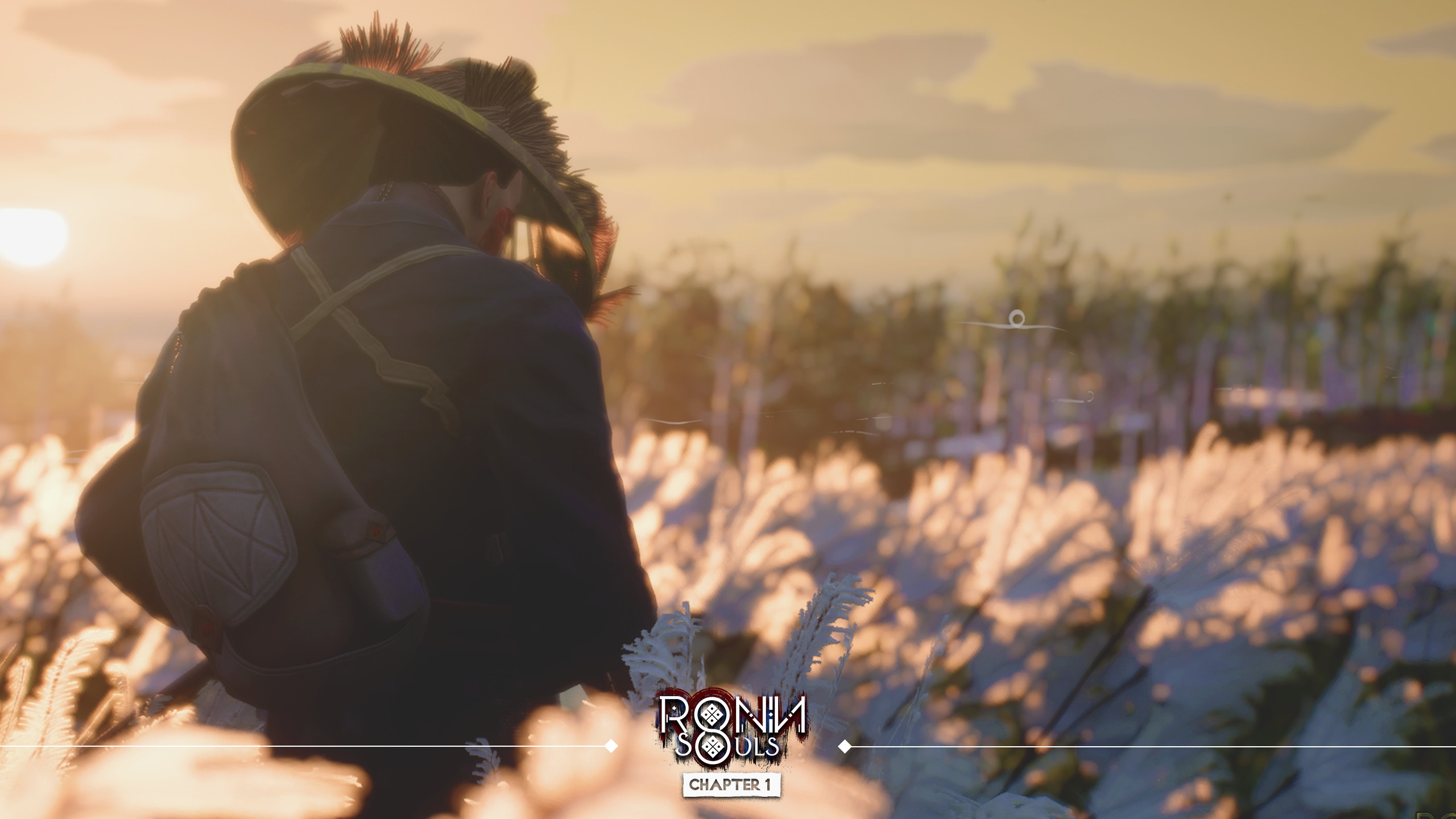 RONIN: Two Souls CHAPTER 1 screenshot 1