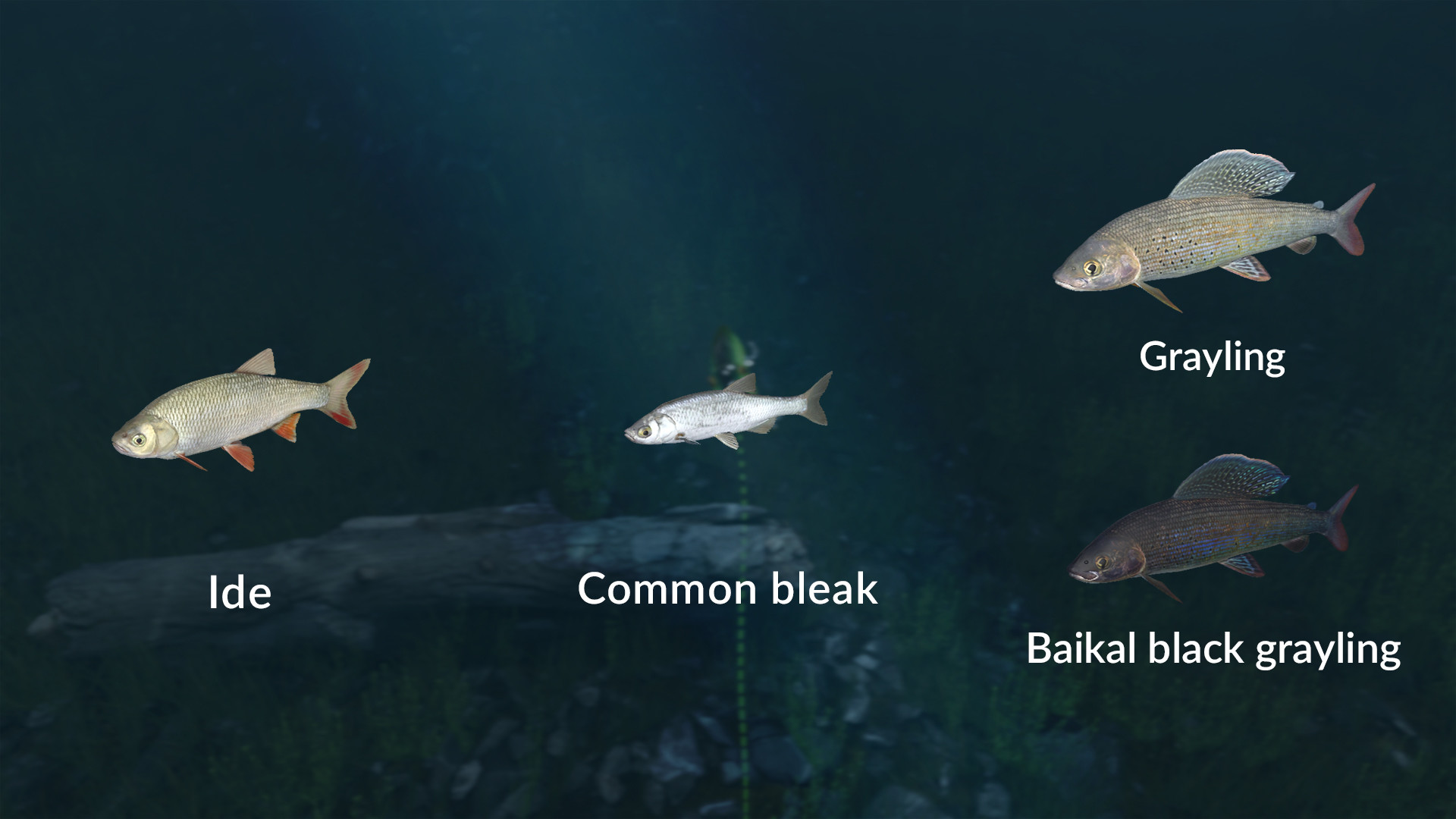 Ultimate Fishing Simulator VR - New Fish Species screenshot 7