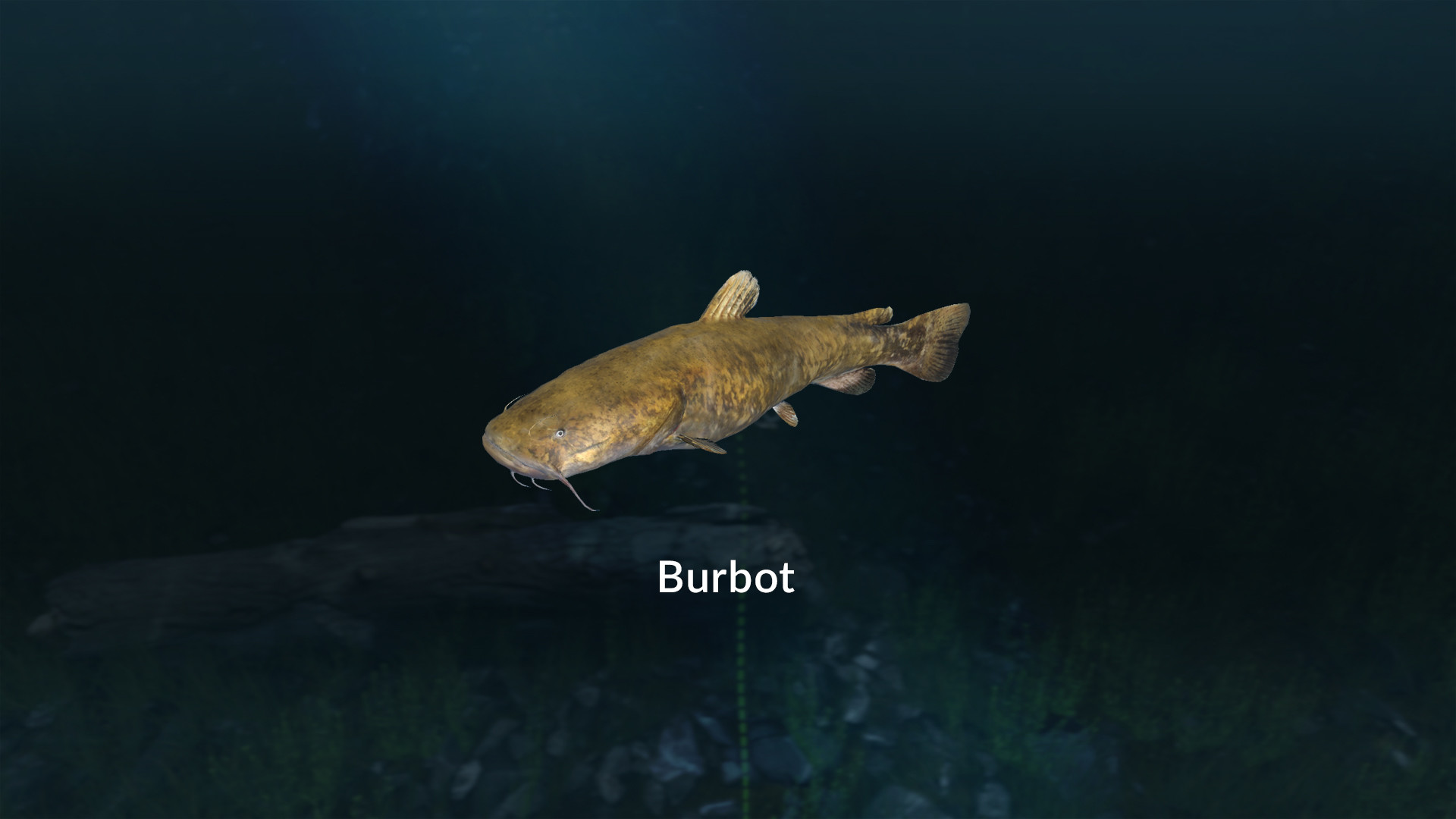 Ultimate Fishing Simulator VR - New Fish Species screenshot 2