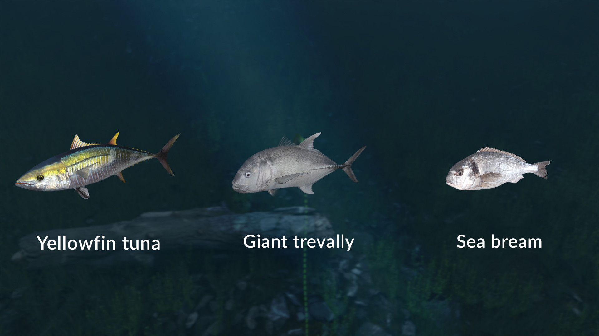 Ultimate Fishing Simulator VR - New Fish Species screenshot 6