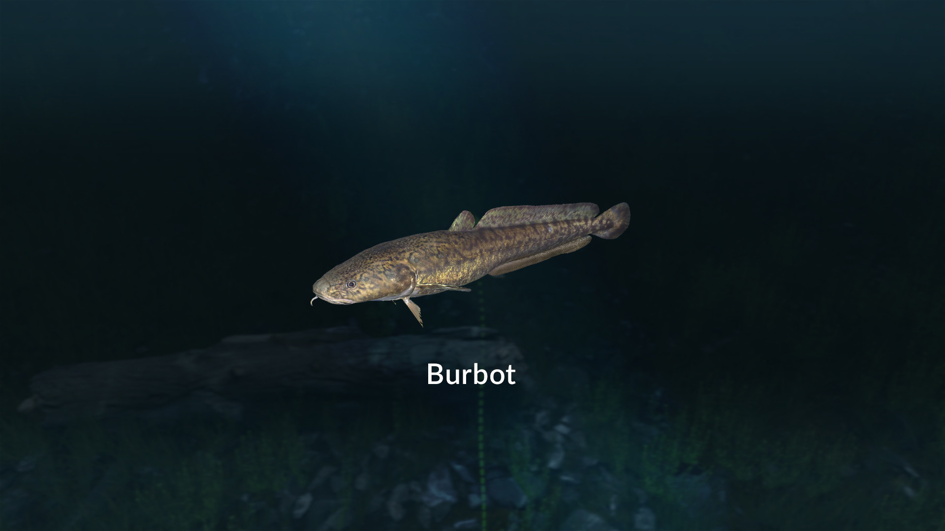 Ultimate Fishing Simulator VR - New Fish Species screenshot 3