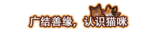 图片[10]_猫咖经理｜Cat Cafe Manager｜官方中文｜580M｜免安装_果漫社区