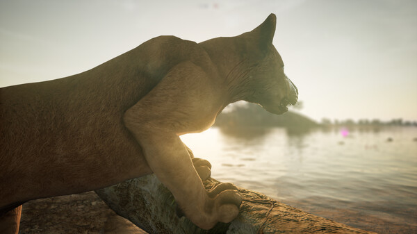 Animalia Survival screenshot