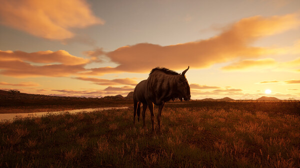 Animalia Survival screenshot