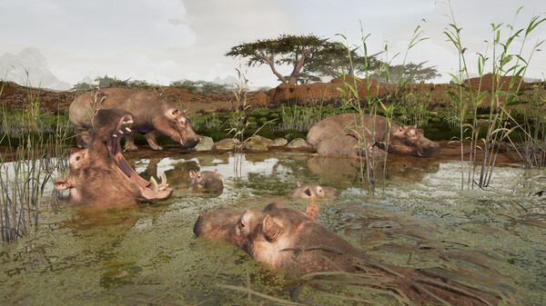 Animalia Survival screenshot
