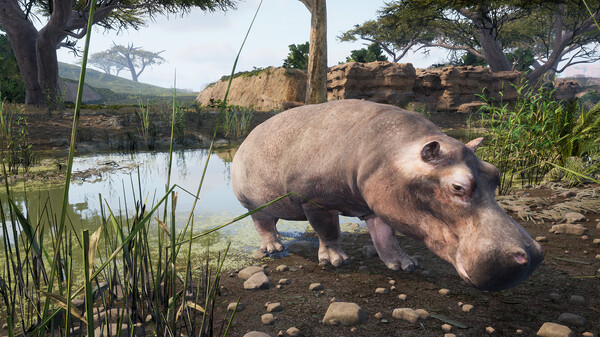 Animalia Survival screenshot