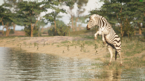 Animalia Survival screenshot