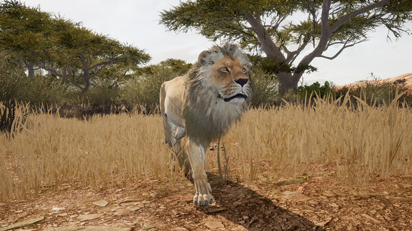 Animalia Survival screenshot