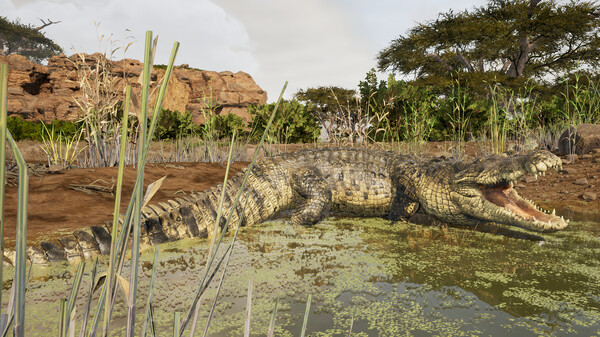 Animalia Survival screenshot