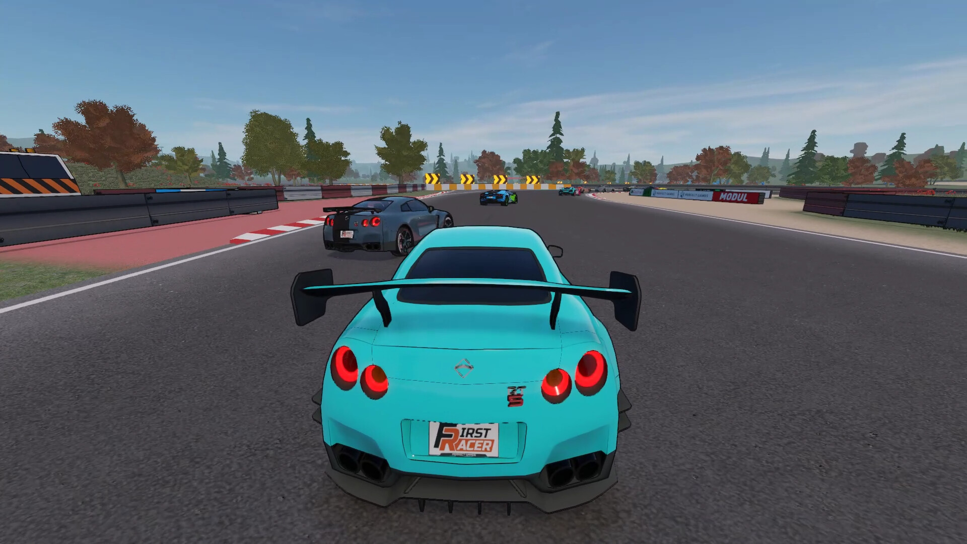 First Racer screenshot 1
