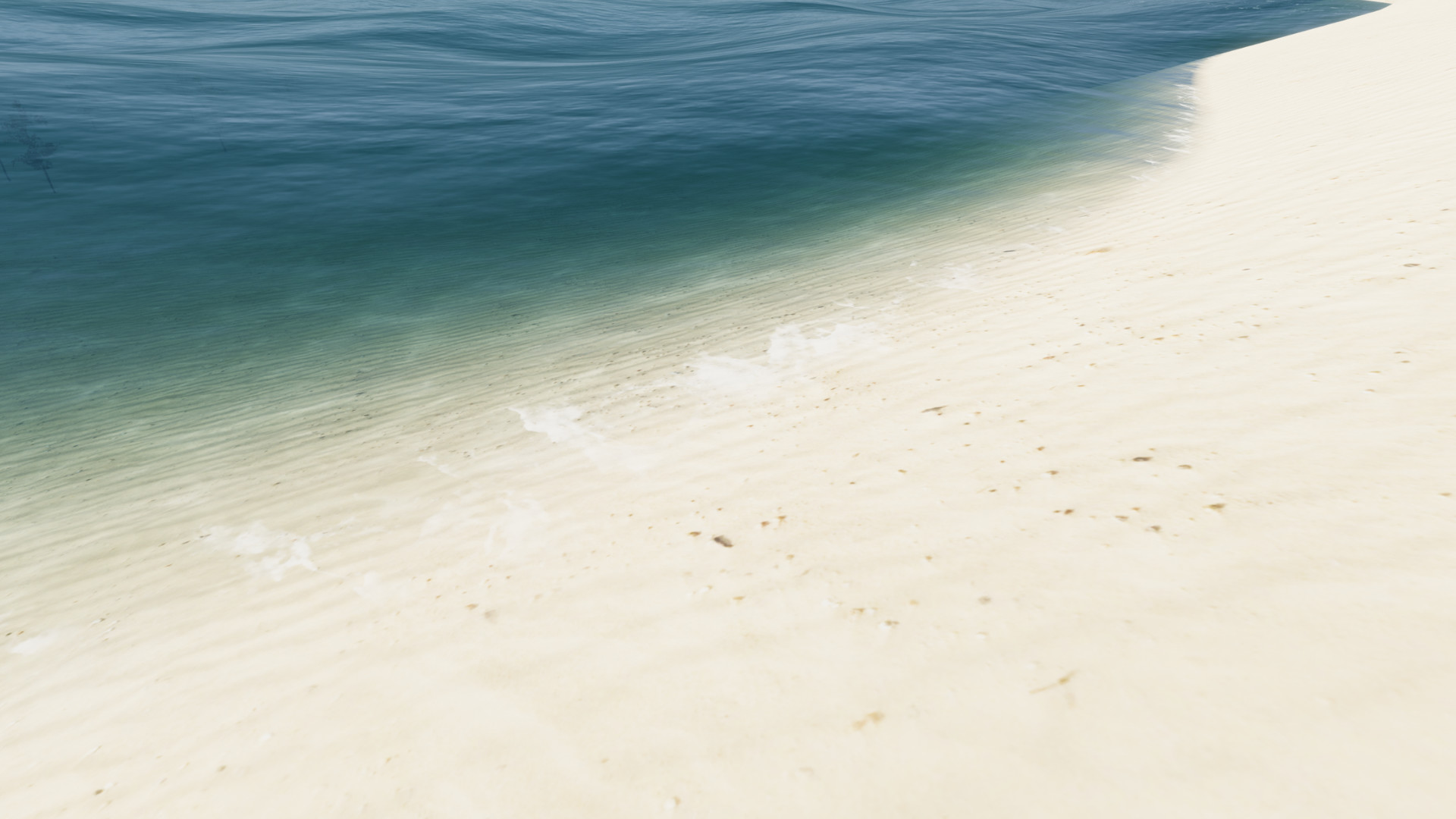 Bromeliad screenshot 7