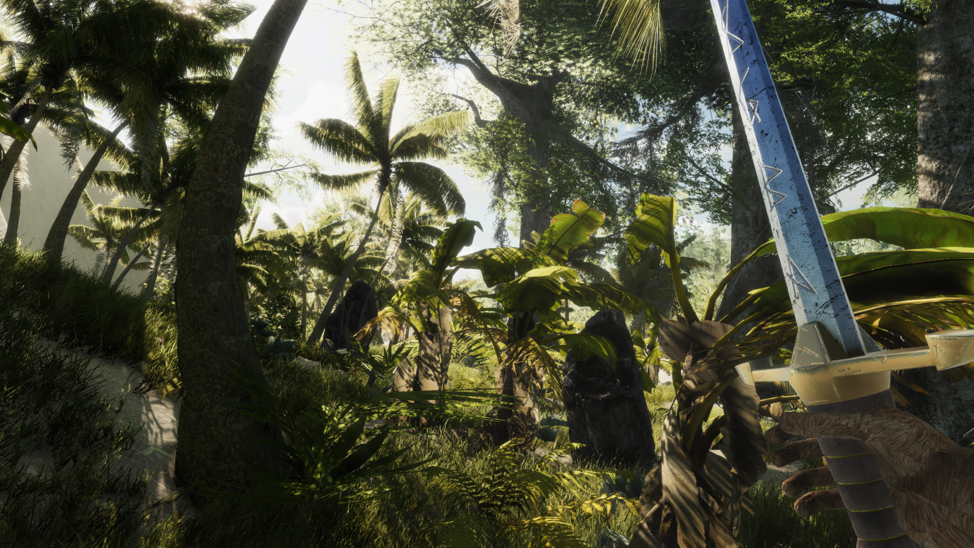 Bromeliad screenshot 1