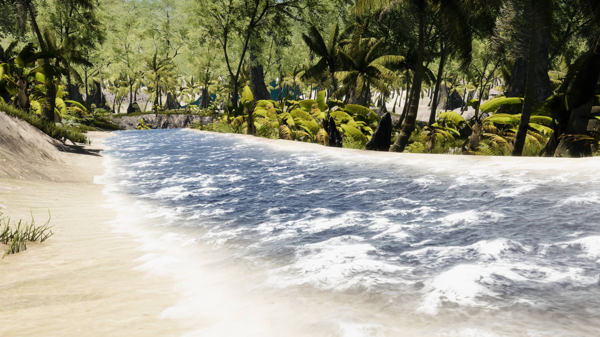 Bromeliad screenshot 8
