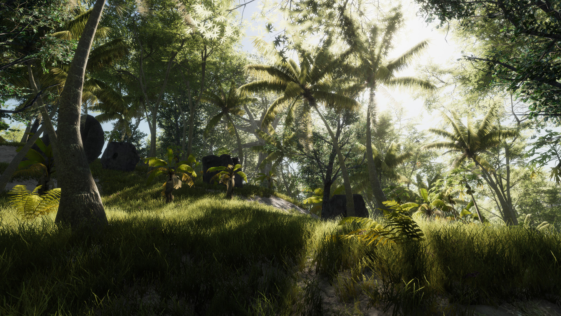 Bromeliad screenshot 2