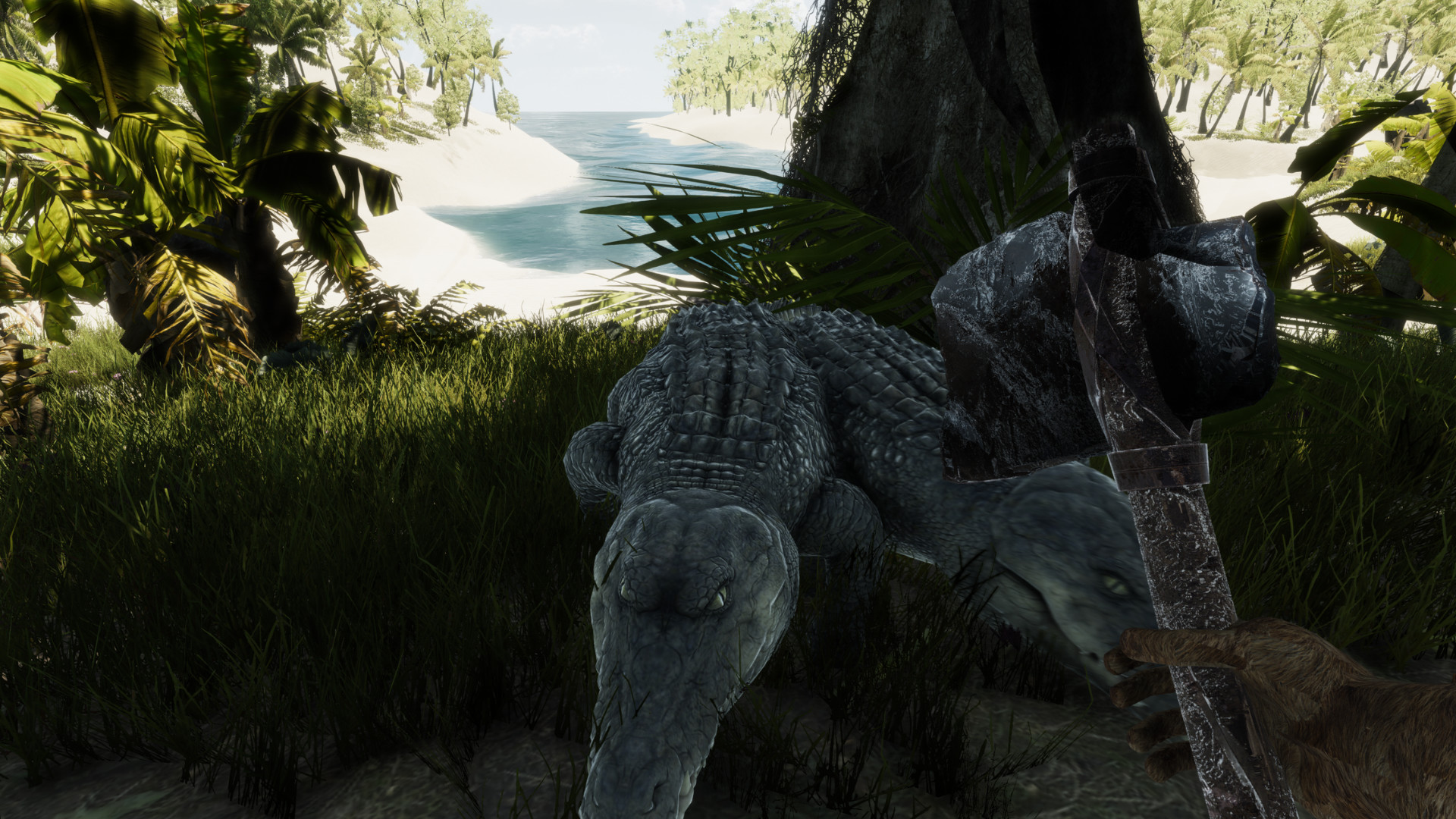 Bromeliad screenshot 4