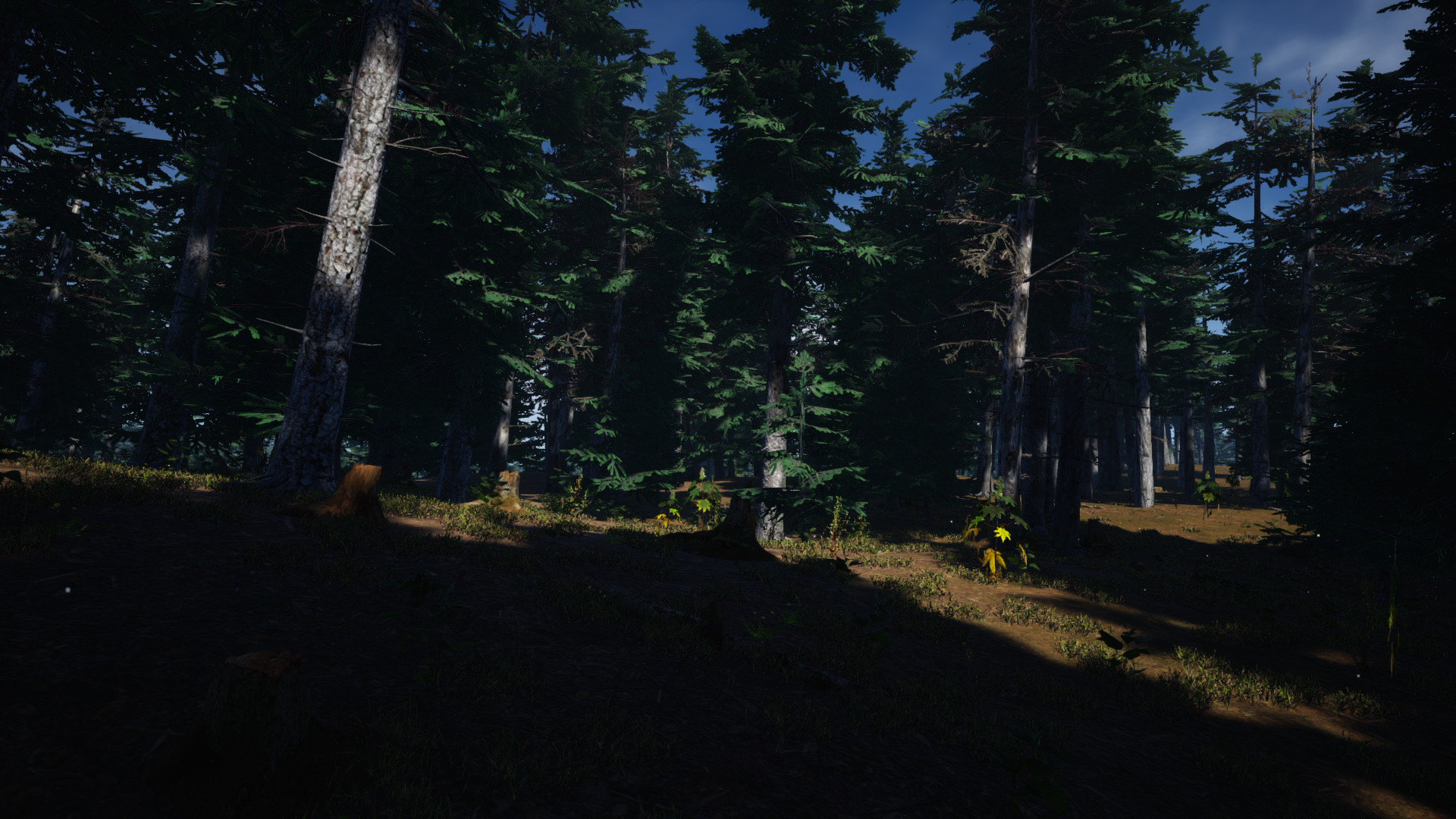 Mushroom Picker Simulator screenshot 5