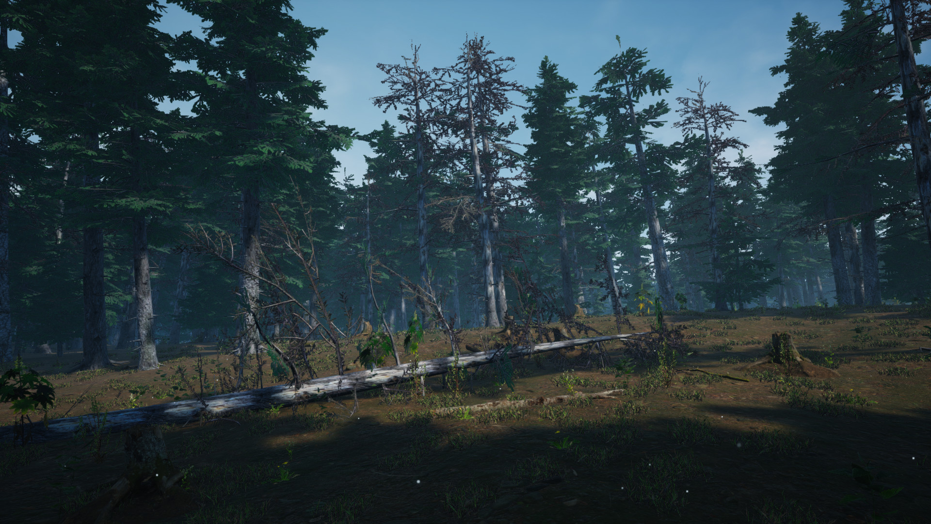 Mushroom Picker Simulator screenshot 14