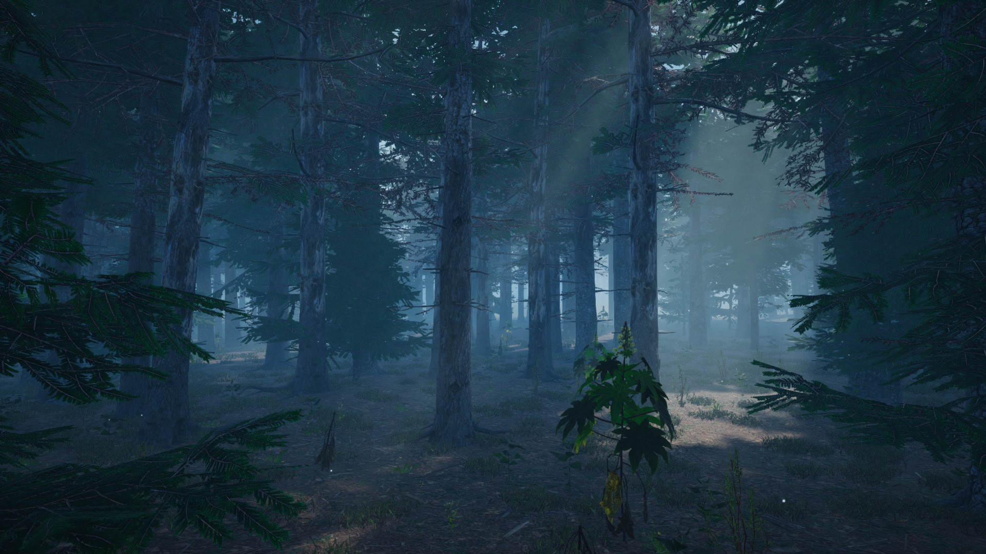 Mushroom Picker Simulator screenshot 13